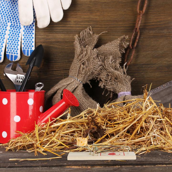 Actual product image Relaxdays 40x mousetrap