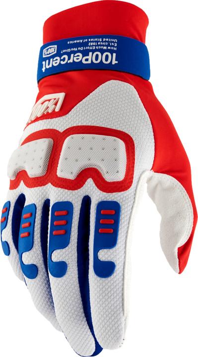 100% Langdale Gloves