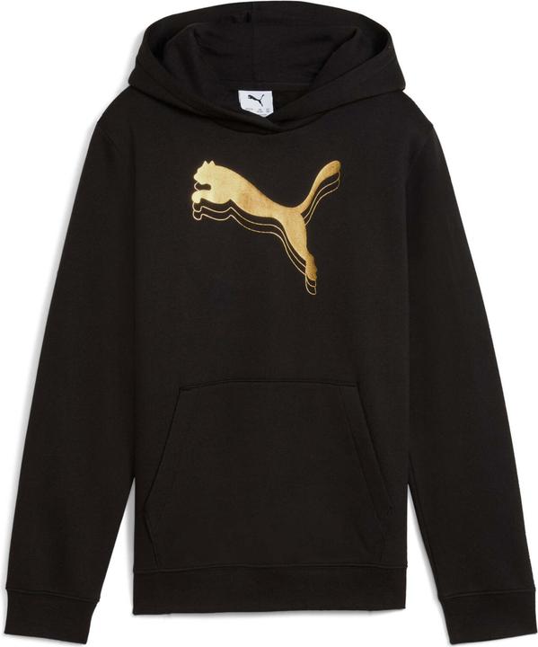 Produktbild Puma ESS METALLIC Hoodie FL G (128)