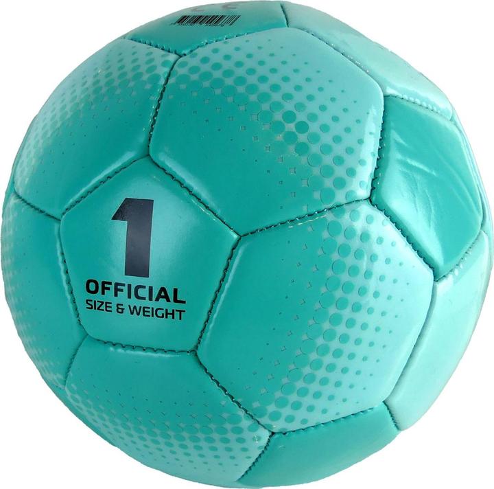 SportMe Technischer Ball Playtech Blue
