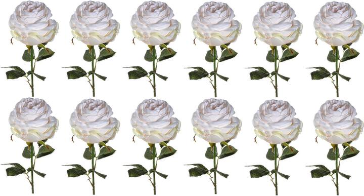 Produktbild Leonardo Rose (3.90 cm)