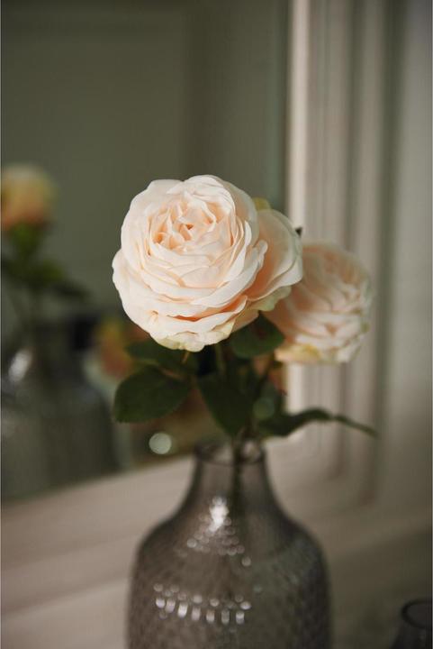 Produktbild Leonardo Rose (3.90 cm)