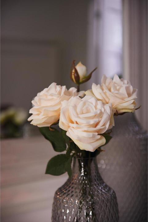Produktbild Leonardo Rose (3.90 cm)
