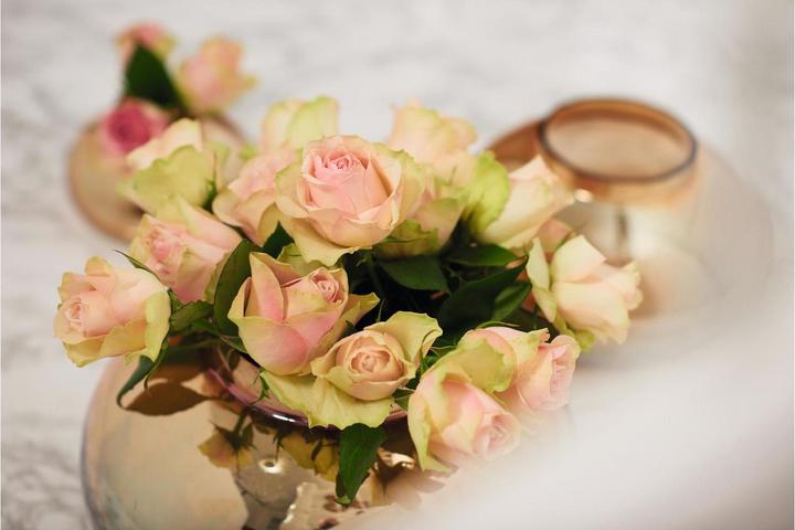 Produktbild Leonardo Rose (3.90 cm)
