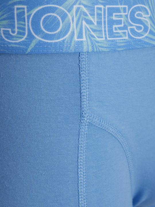 Actual product image Jack & Jones Jaccanvey Trunks 10 Pack (XL, pack of 10)