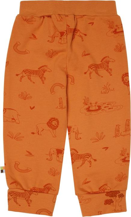 Actual product image loud + proud Pants with print (80)
