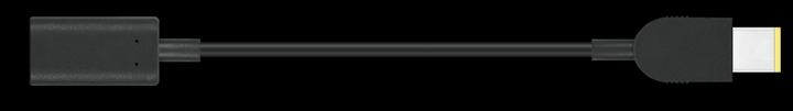 Lenovo USB-C zu Slim-Tip Adapter (0.02 m, 0.37 W)