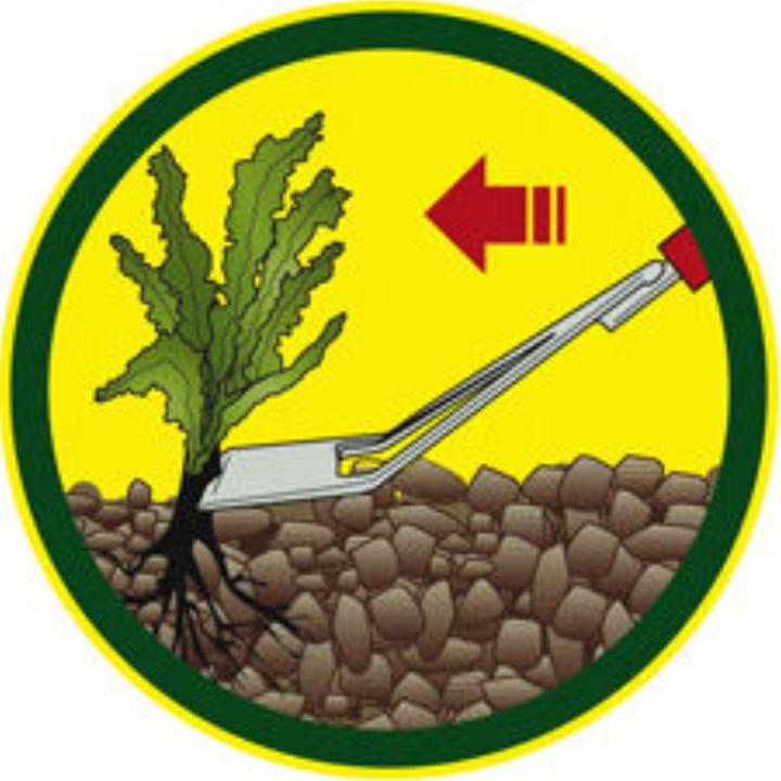 Produktbild Wolf-Garten Jätschuffel 13 cm Combisystem