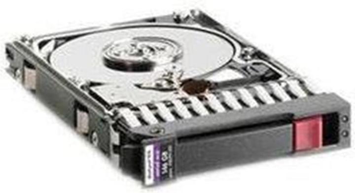 Actual product image IBM Hard disk - 300 GB - hot-swap - 2.5" (6.4 cm) (0.30 TB, 2.5")