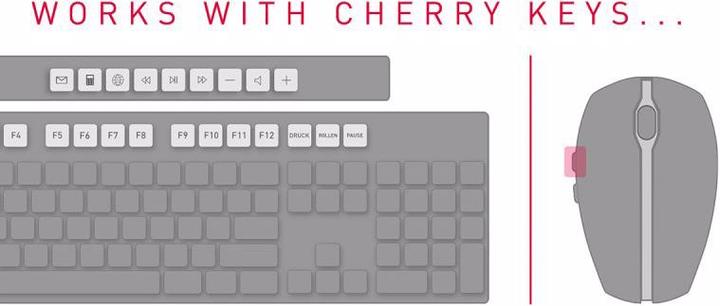Image du produit CHERRY Stream (US, Filaire)