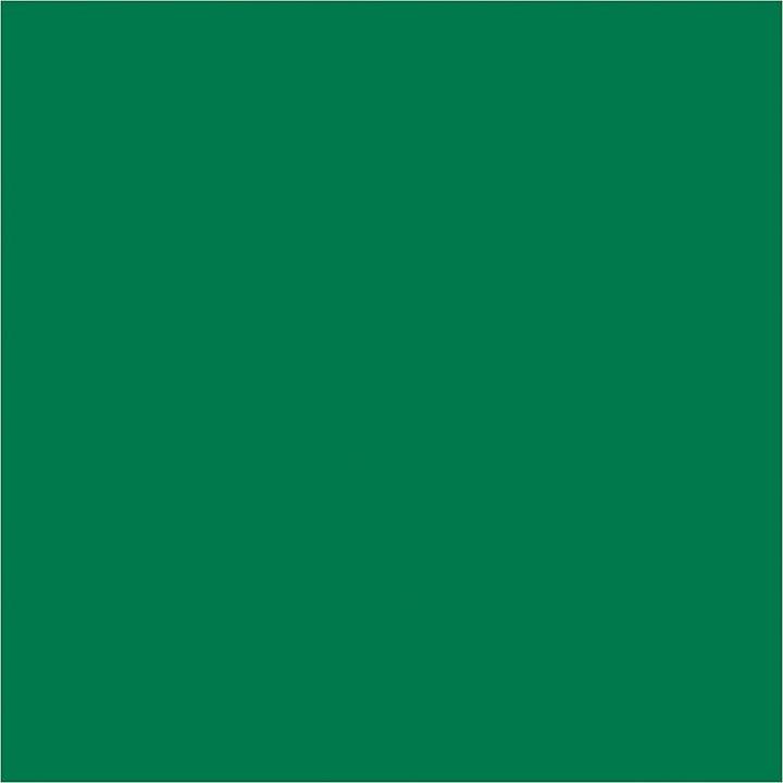Immagine prodotto Creativ Company Carta velina verde 10 fogli 14 gr, 50x70cm (14 g/m², 10 x)