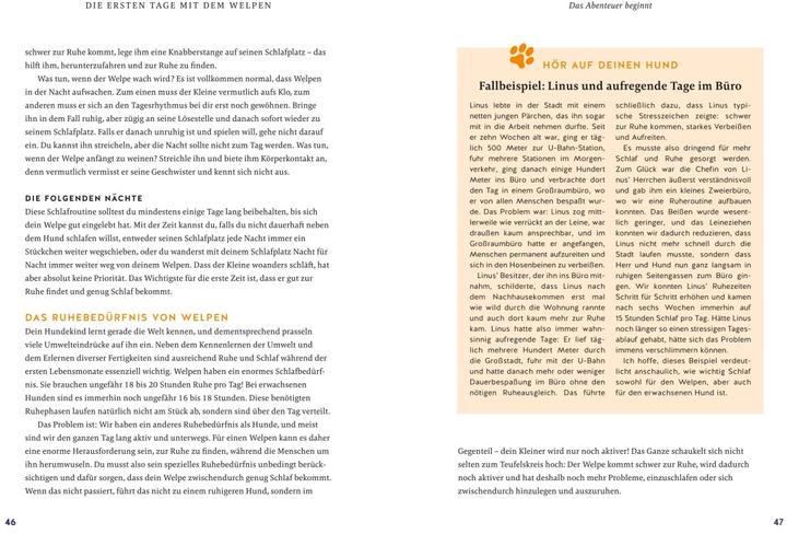 Image du produit Der Welpen-Alltags-Helfer (Allemand, Petra Frey, 2023)