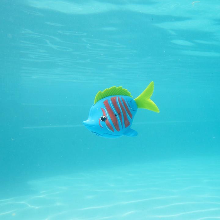 Productafbeelding Swimways Regenboog Rif Beta Vis