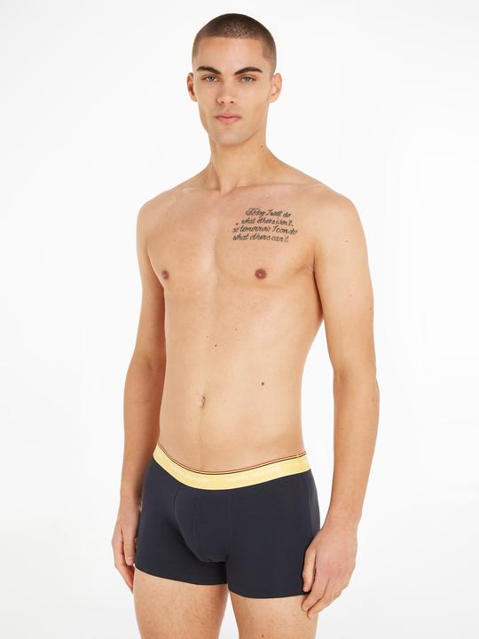 Immagine prodotto Tommy Hilfiger Baule WB (M)