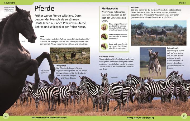 Immagine prodotto DK Kinderlexikon Tiere (Tedesco, DK Verlag - Bambini, 2023)