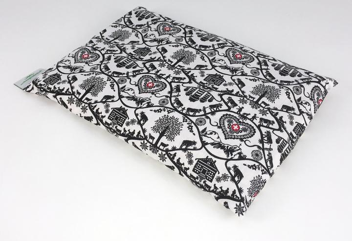 Actual product image Swiss Bio-Pads Cushion with raisin seeds (21 x 32 cm)