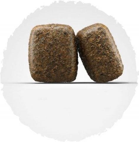 Actual product image Josera Nature Energetic (Adult, 1 pcs., 12677 g)