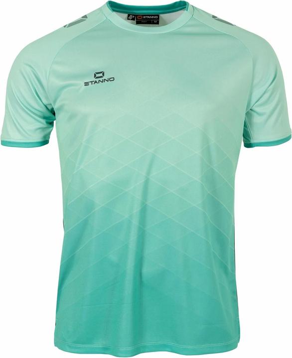 Mint, Anthracite