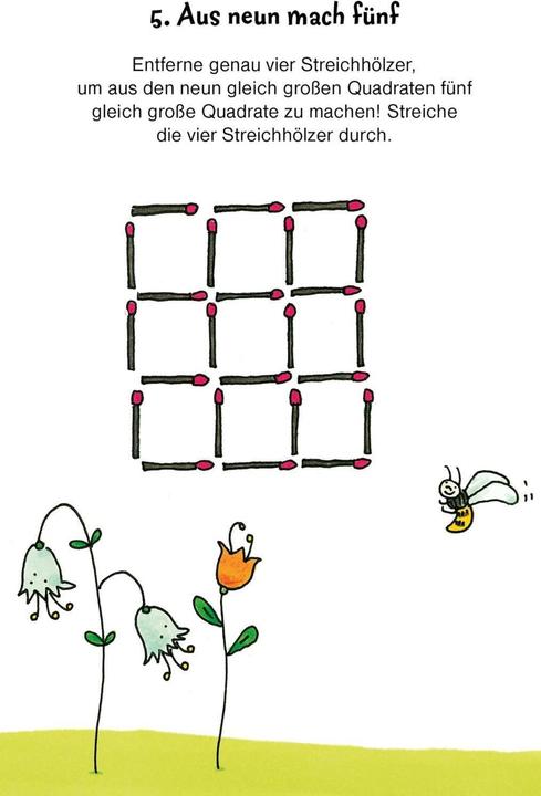 Actual product image Tricky puzzles (German)