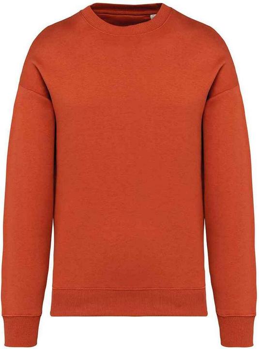 Native Spirit Sweatshirt Übergross