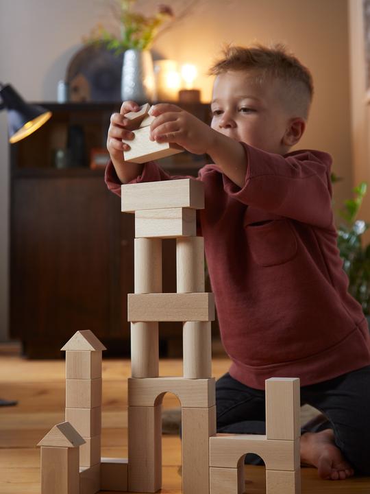 Actual product image Haba Basic modules Basic package