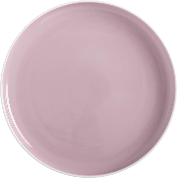 Maxwell & Williams Teinte (1 x, 20 cm)