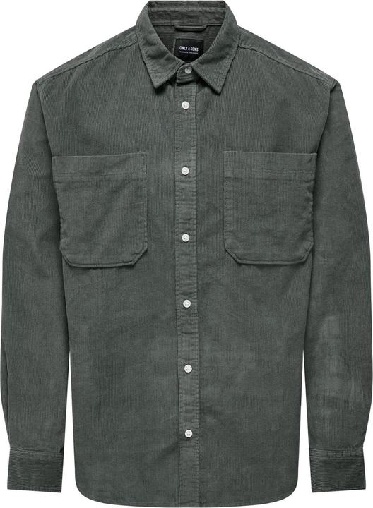 Gris Castor Gray