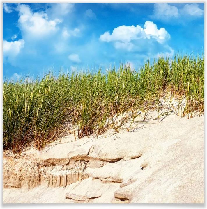 Produktbild Trenddeko Ostsee Dünenlandschaft (70 x 70 cm)