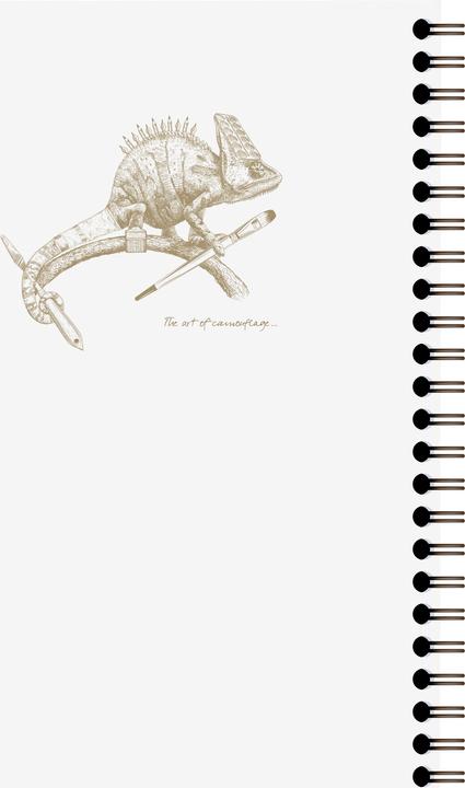 Image du produit Clairefontaine Flying Spirit (A5, À rayures, Couverture souple)
