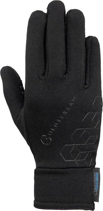 Produktbild Coldstream Winterhandschuhe Eccles Stormshield (L)