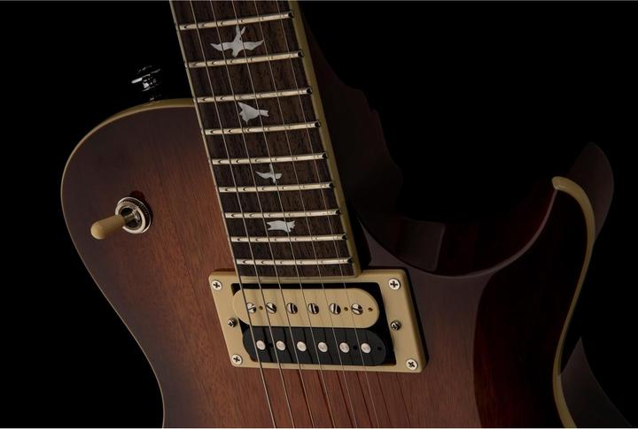 Produktbild PRS SE 245 Standard (E-Gitarre, Mahagoni)
