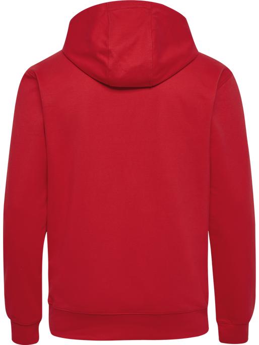 Actual product image hummel HMLGO 2.0 HOODIE (XL)