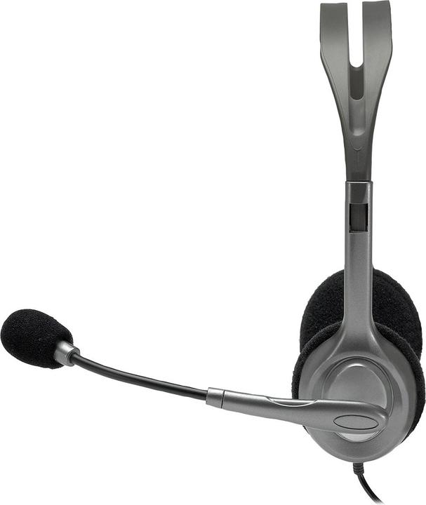 Actual product image Logitech H110 (Cable)