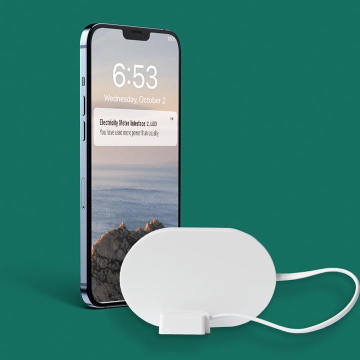 Actual product image Frient External Meter Interface 2 LED
