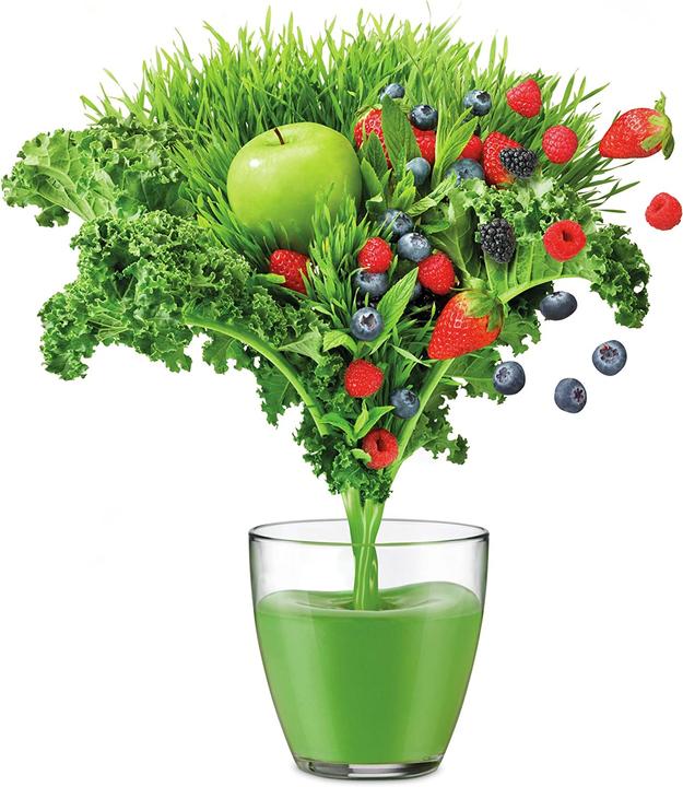 Sage The Nutri Cold