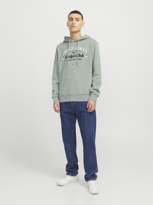 Immagine prodotto Jack & Jones JJELOGO SWEAT HOOD 2 COL 24/25 NOOS (XS)