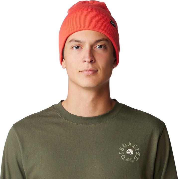 Mountain Hardwear Everyone's Favorite Beanie (One Size)