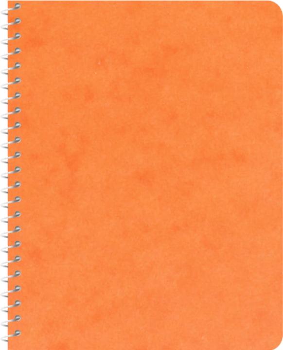 Immagine prodotto Novooo Spiralheft assortiert (91 x 121 mm, Quadretti)