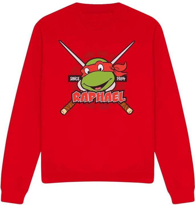 Immagine prodotto Teenage Mutant NT Since 1984 Felpa Raffaello Adulto Unisex (L)