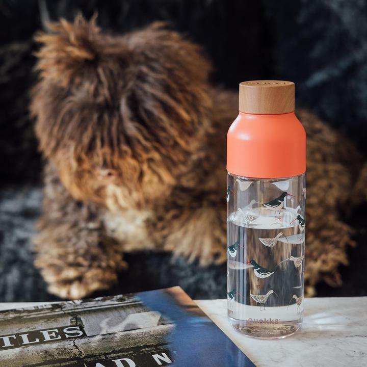 Immagine prodotto Quokka Ghiaccio 720 ml - Bottiglia da bere (0.72 l)