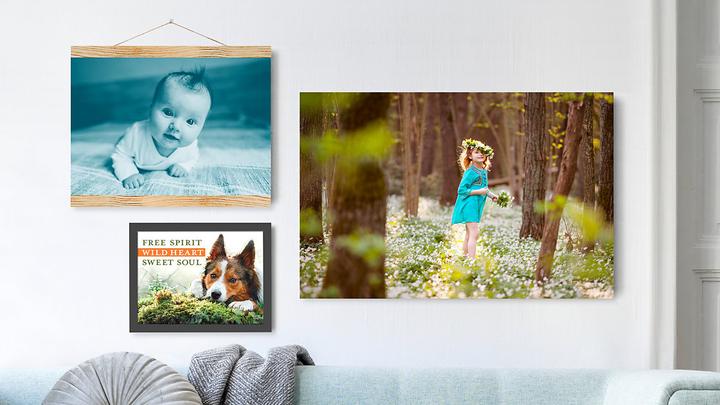 Produktbild Adobe Photoshop & Premiere Elements 2021 (1 User, unbegrenzt)
