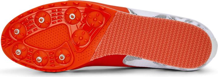 Image du produit Puma evoSPEED Star 8 (44)