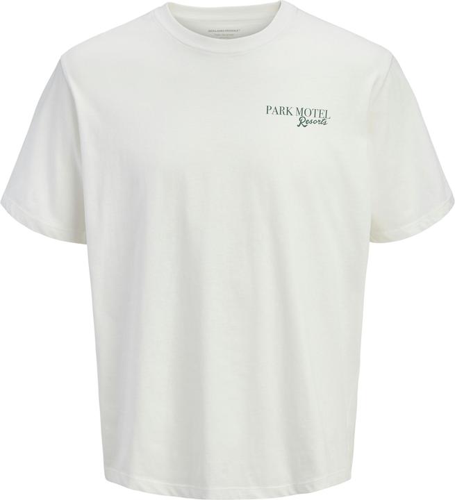 Jack & Jones Jorbradley Park Motel Tee Ss C.N Stmss25