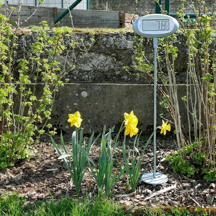 Produktbild TFA Gartenthermometer Orion