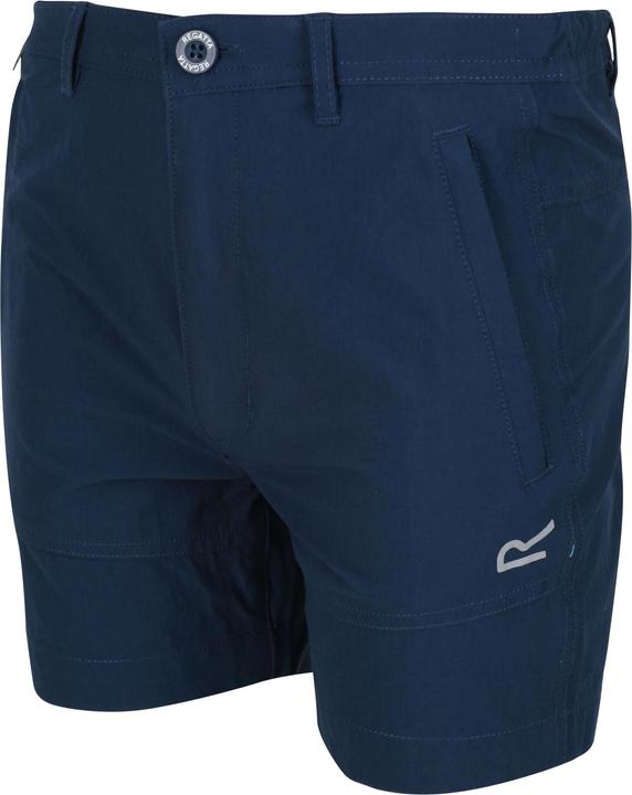 Actual product image Regatta Highton Shorts (146)