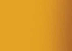 Actual product image Caran d'Ache Acrylic (Ochre, 250 ml)