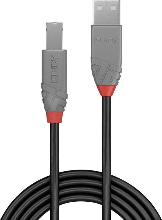 Immagine prodotto Lindy USB/A-USB/B M-M (2 m, USB 2.0)