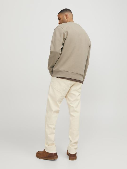 Immagine prodotto Jack & Jones Felpa RDD Dean (S)