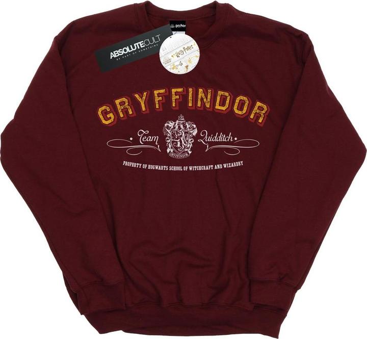 Image du produit - Sweat GRYFFINDOR TEAM QUIDDITCH - Homme (M)