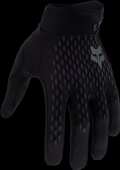 Image du produit Fox Gants 24 Defend Blk (S)